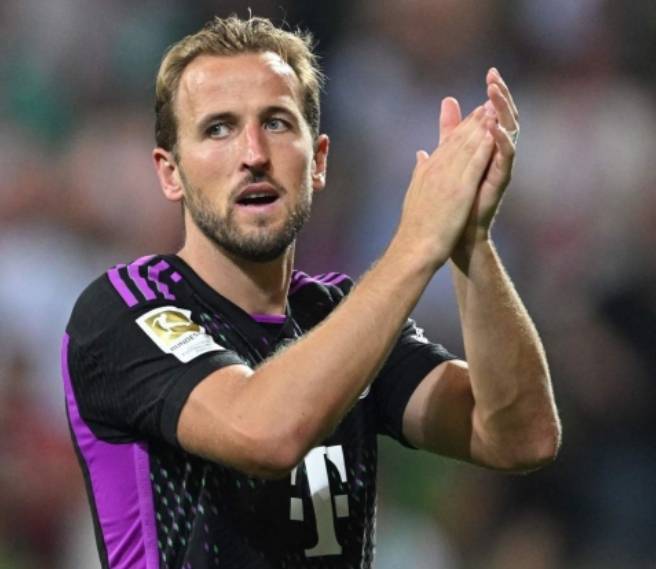 球队在赛季 球队在赛季